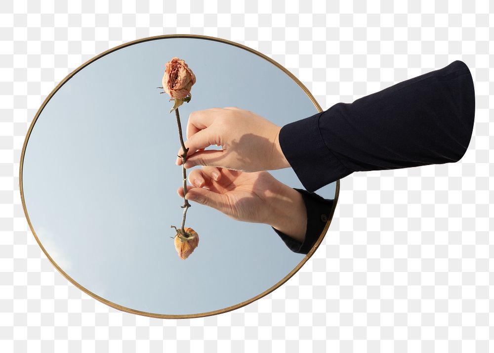 Dried rose png mirror , transparent background