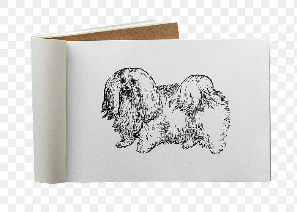 Drawing book png dog doodle sticker, transparent background