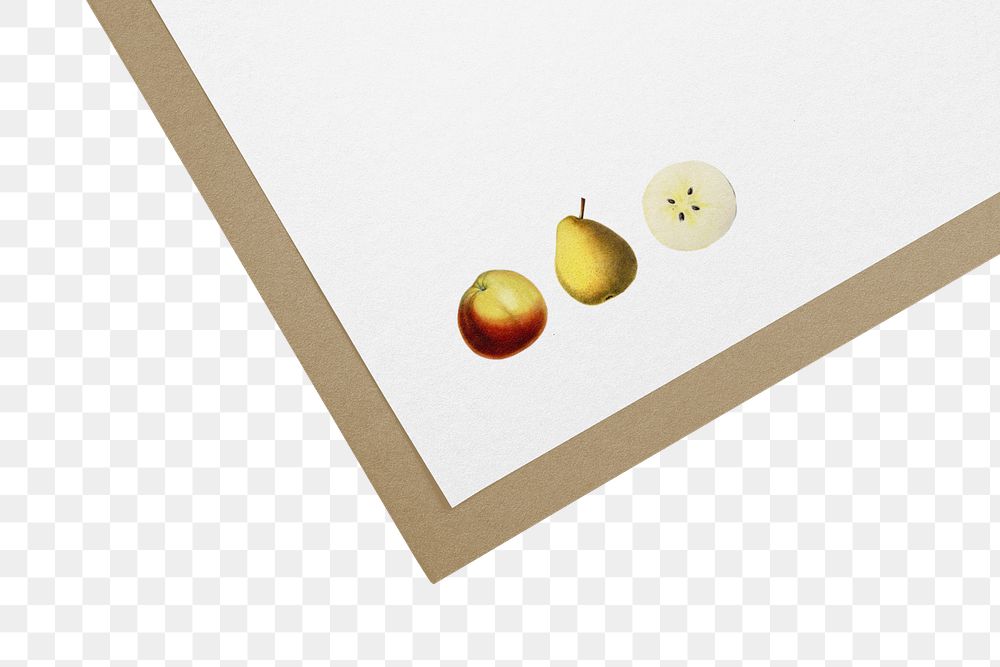 Fruit logo png on paper, transparent background