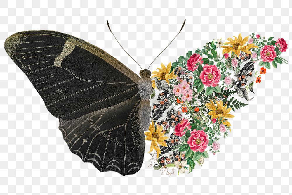 Black floral butterfly, creative remix
