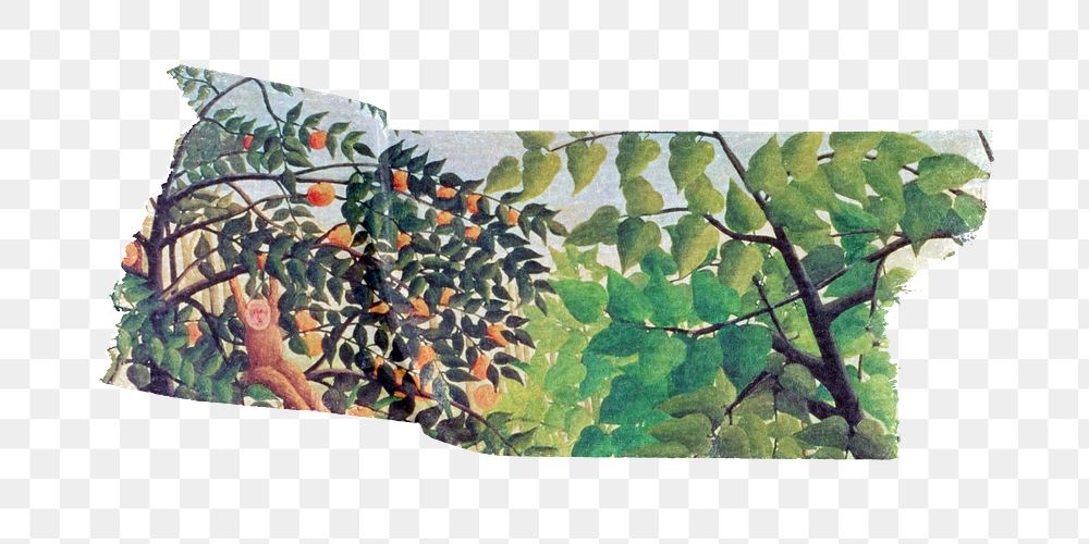 Colorful leaf png washi tape sticker, Henri Rousseau's vintage element, transparent background, remixed by rawpixel