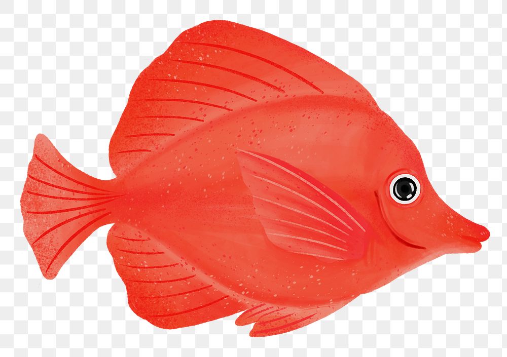 Red fish png sticker, animal illustration, transparent background