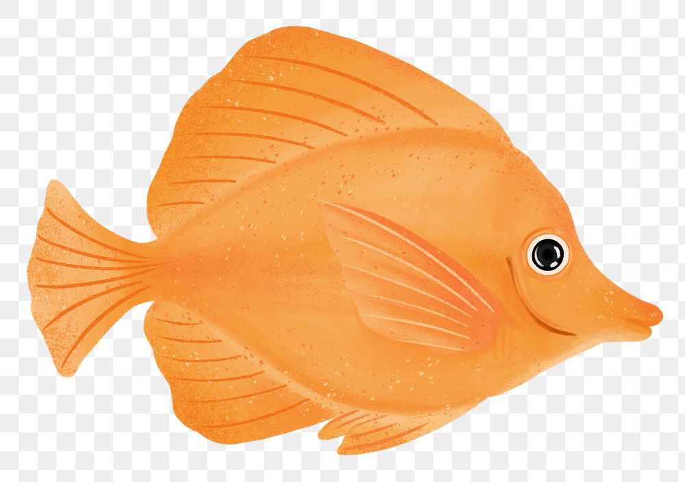 Orange fish png sticker, animal illustration, transparent background