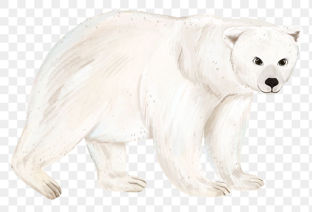 Polar bear png sticker, animal illustration, transparent background