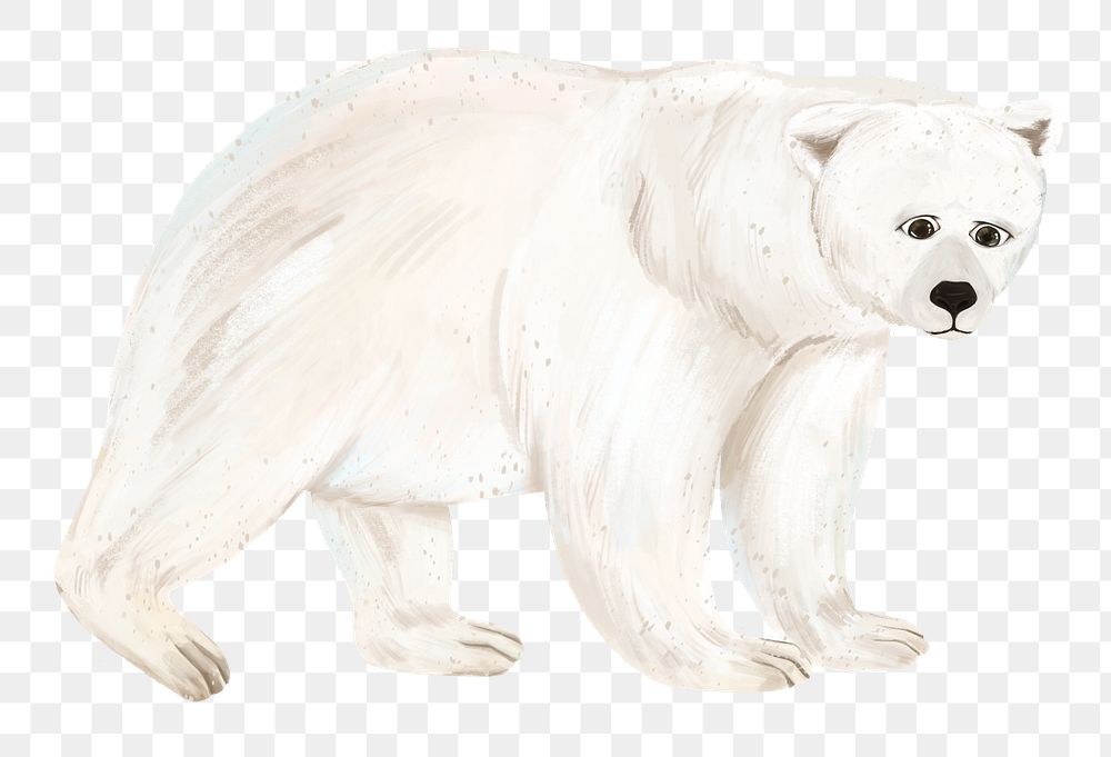 Sad polar bear png sticker, animal illustration, transparent background