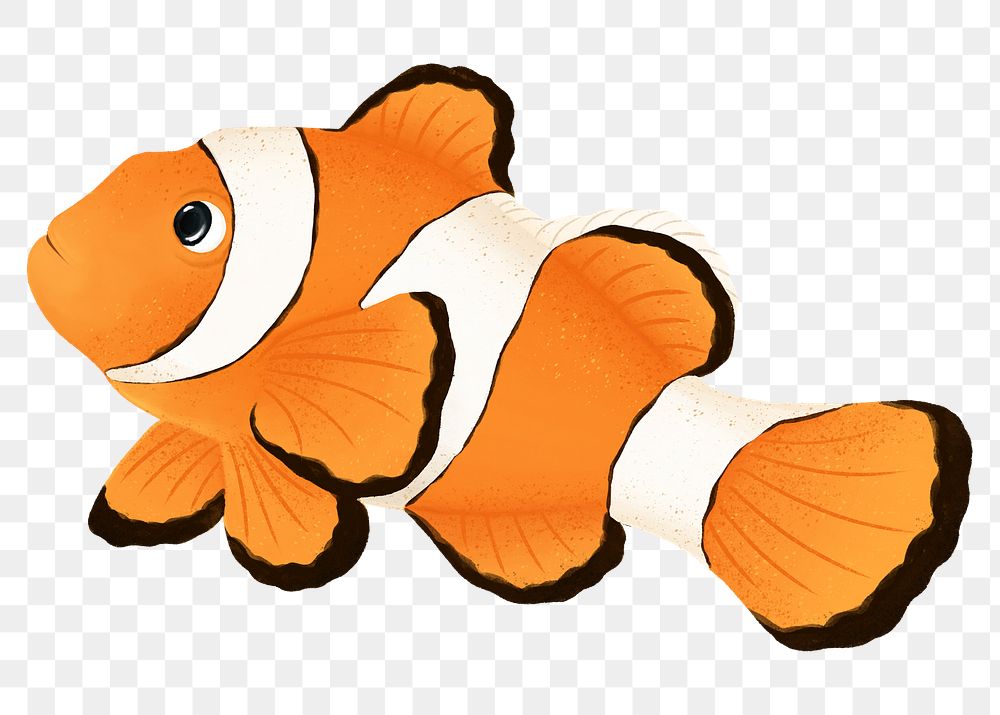 Cute clownfish png sticker, animal illustration, transparent background