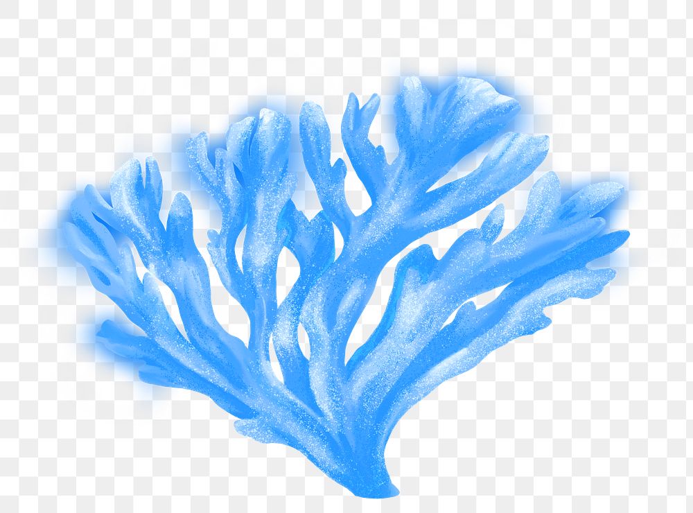 Blue coral png sticker, nature illustration, transparent background