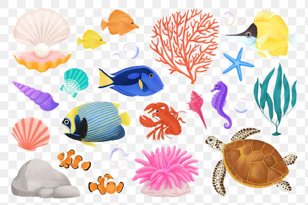 Sea animals png sticker illustration, transparent background set