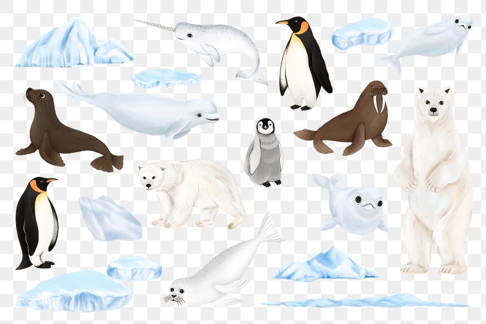 Arctic animals png sticker illustration, transparent background set