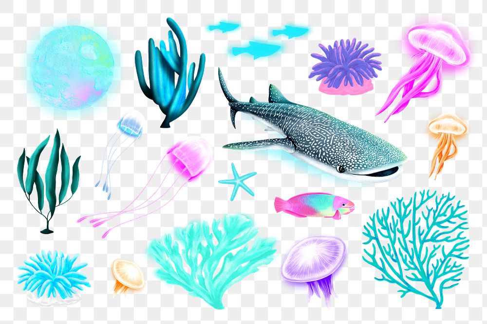 Marine life png sticker illustration, transparent background set