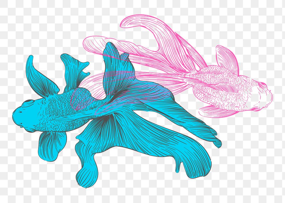 PNG two fishes, illustration, collage element, transparent background