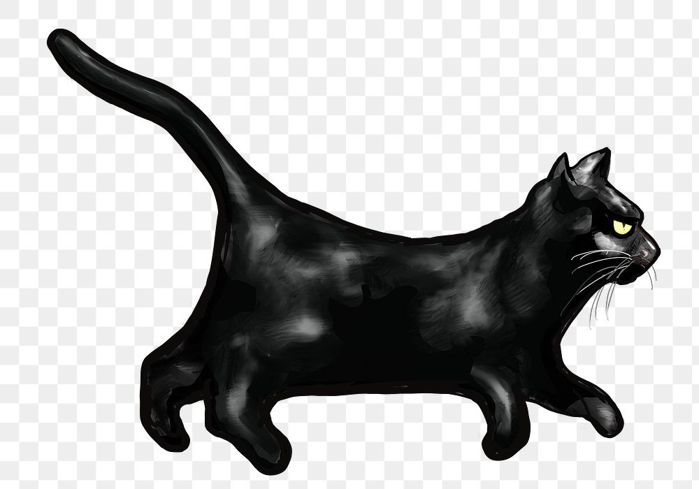 Black cat png illustration, transparent background