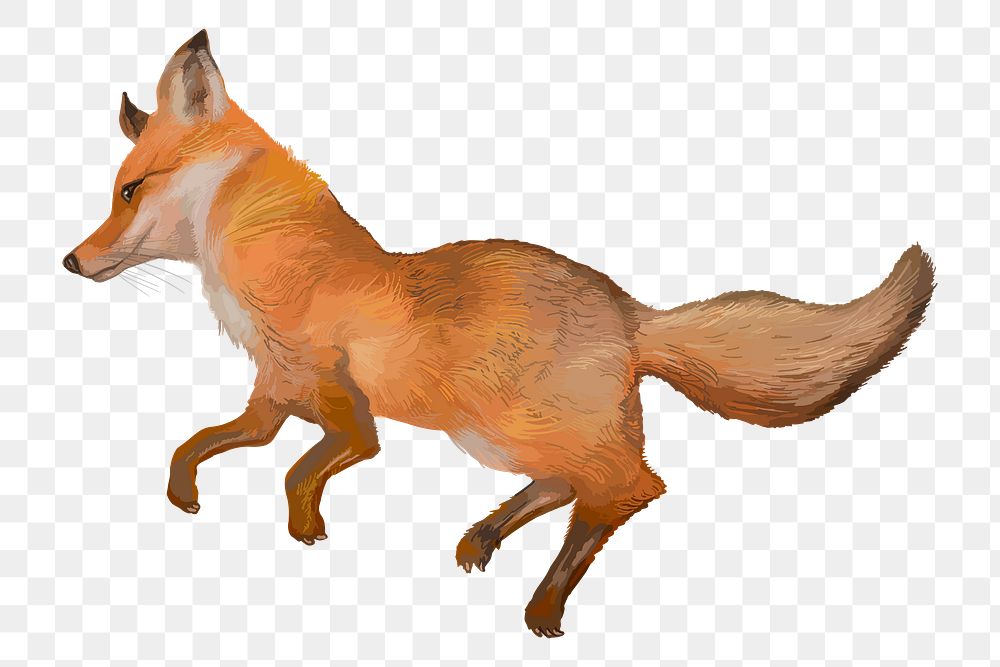 Brown cunning fox png illustration, transparent background
