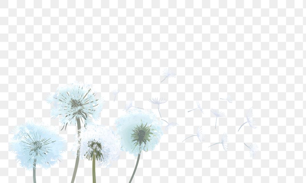 Dandelions png border, transparent background