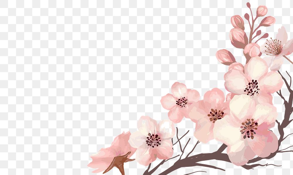 Cherry blossom png border, transparent background