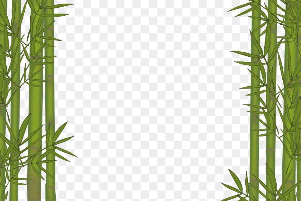 Bamboo png border, transparent background