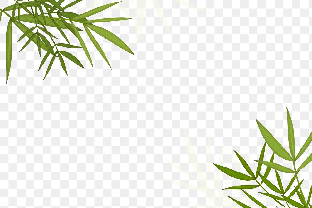 Bamboo png border, transparent background