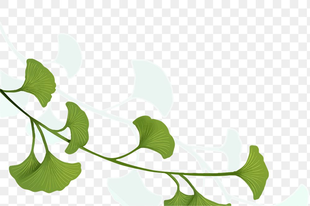 Leaf png border, transparent background