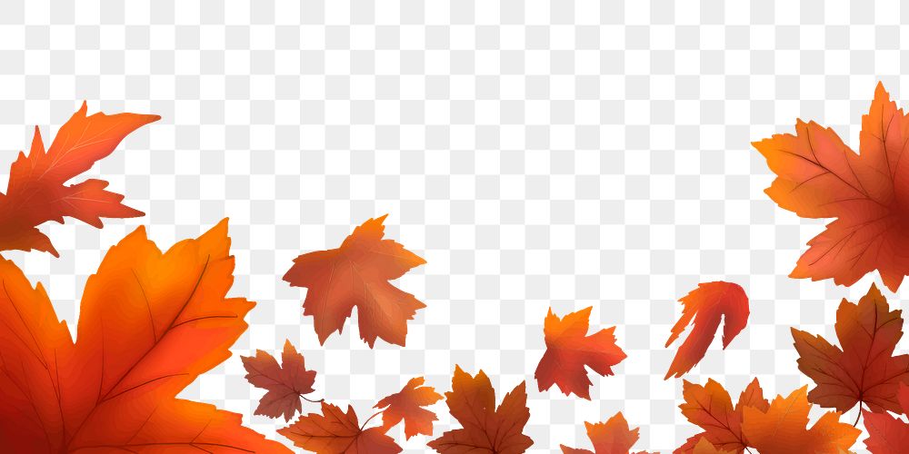 Maple leaf png border, transparent background