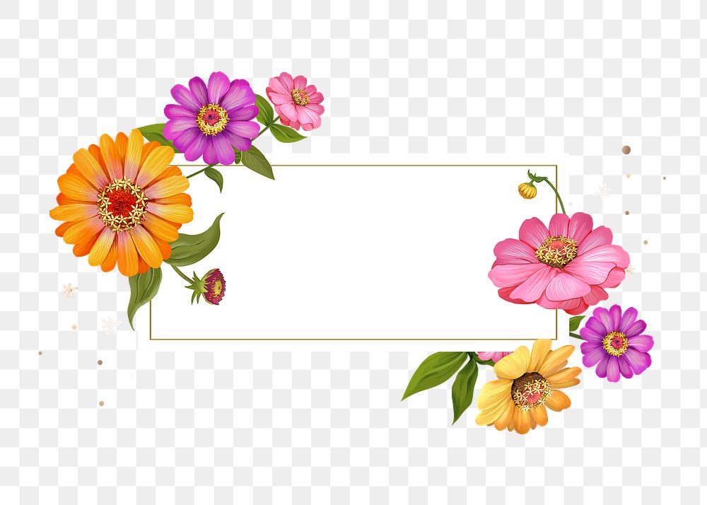 Colorful flowers png frame, transparent background
