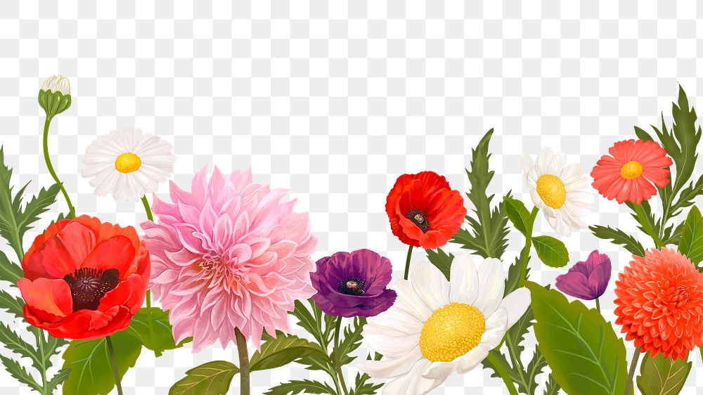 Colorful flowers png border, transparent background