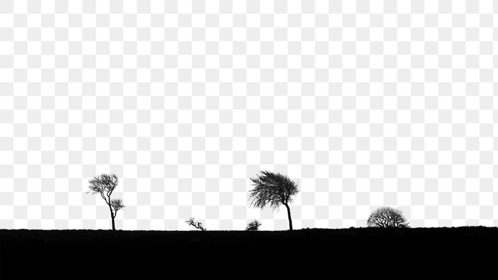 PNG Misty field in black and white collage element, transparent background