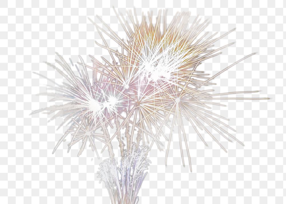PNG Festive fireworks, collage element, transparent background