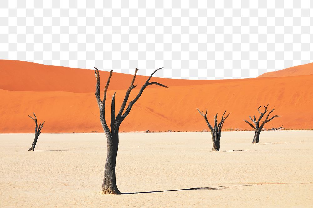 PNG Dead tree on desert collage element, transparent background