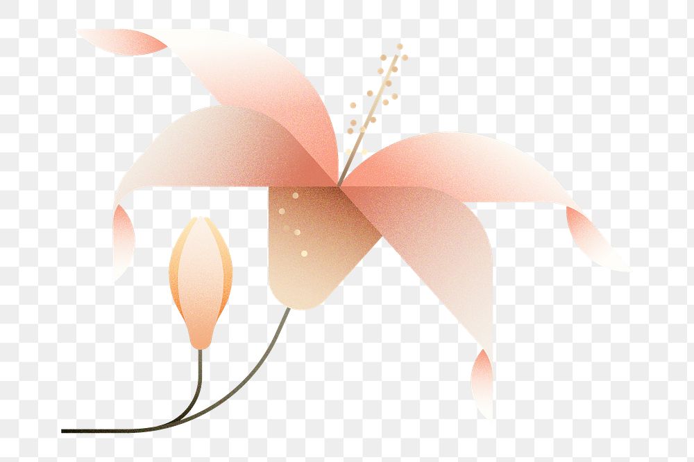 Png pink geometric lily flower illustration, transparent background
