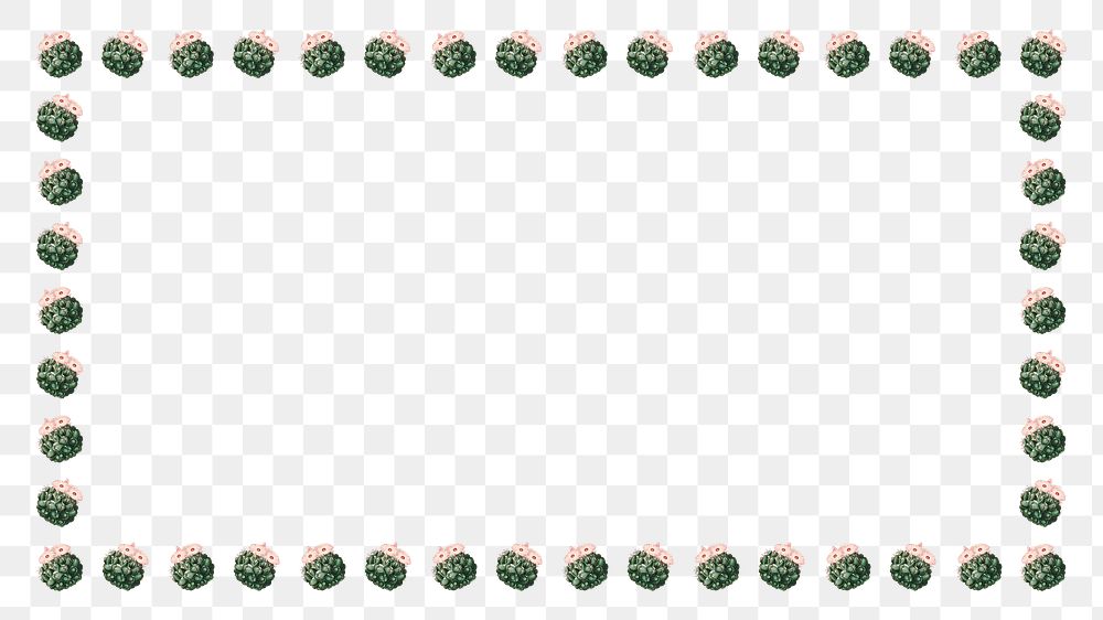 Cactus pattern png rectangle frame, transparent background