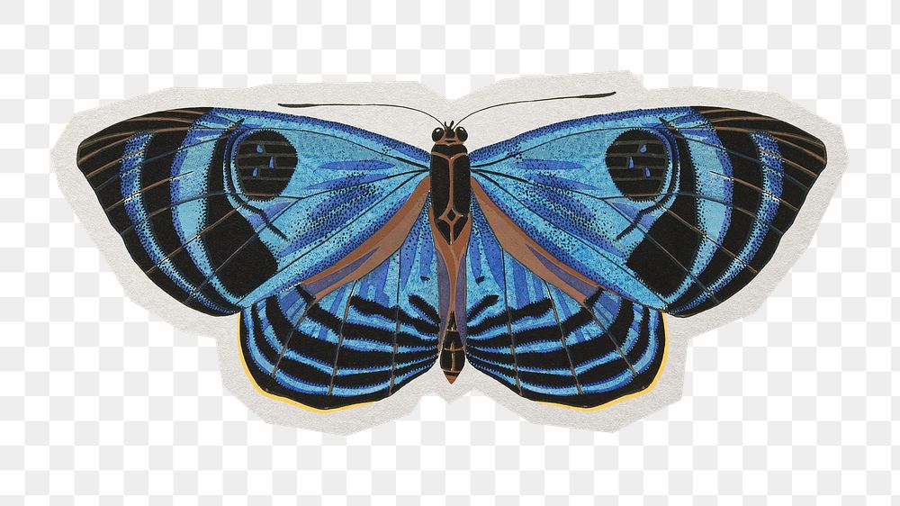 PNG blue vintage butterfly insect sticker with white border, transparent background