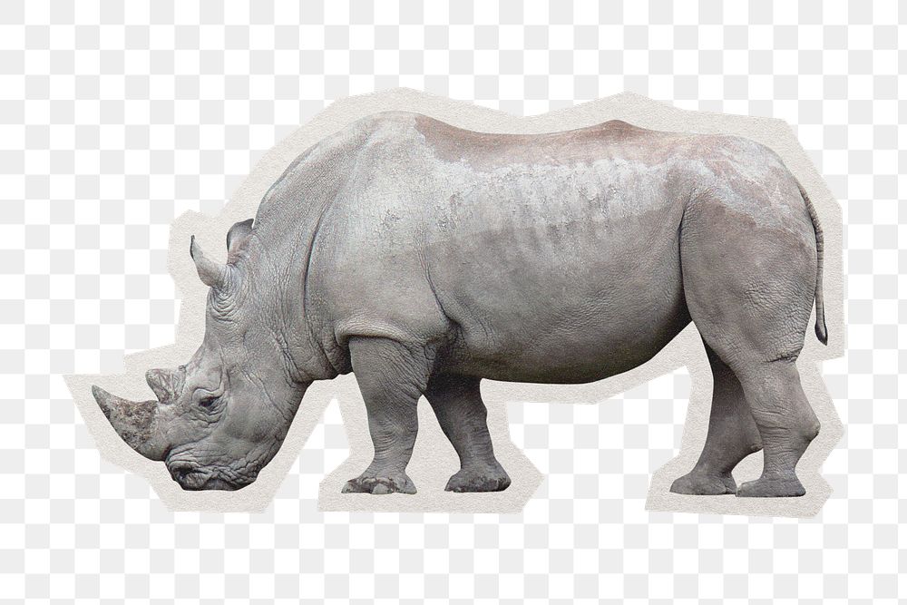 PNG white rhinoceros sticker  white border, wildlife, transparent background