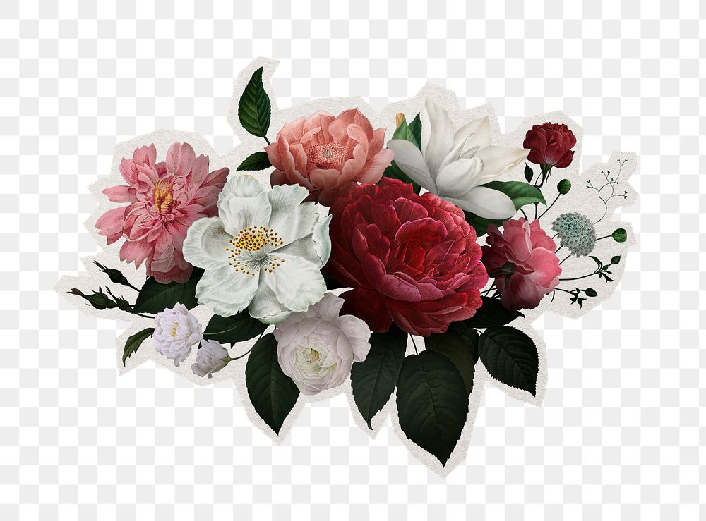 PNG beautiful roses sticker with white border,  transparent background 