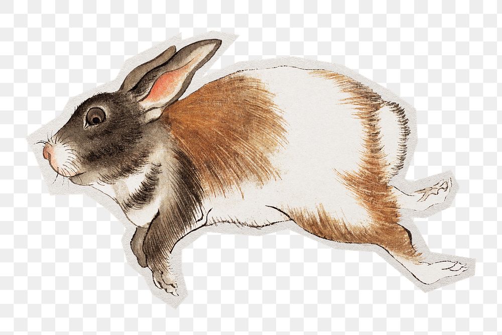 PNG Japanese hare sticker with white border, transparent background 