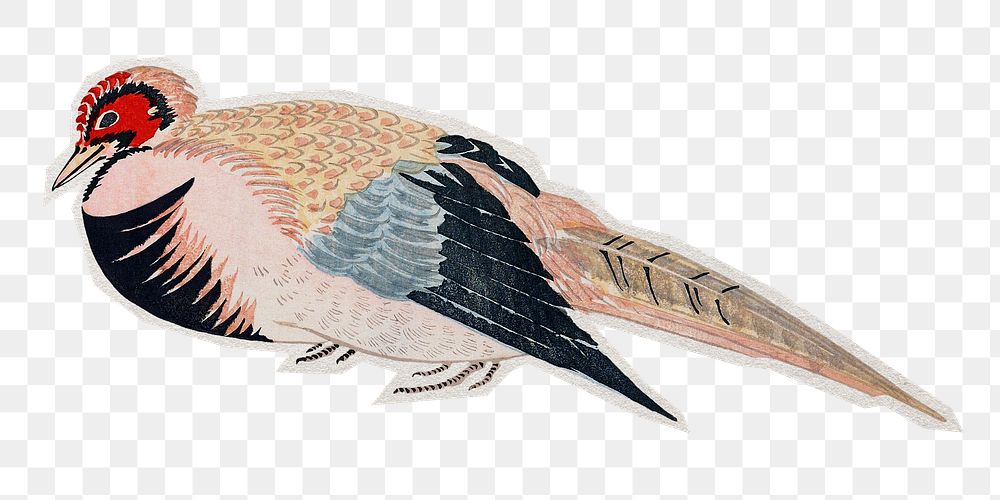 PNG Japanese pheasant sticker with white border, transparent background