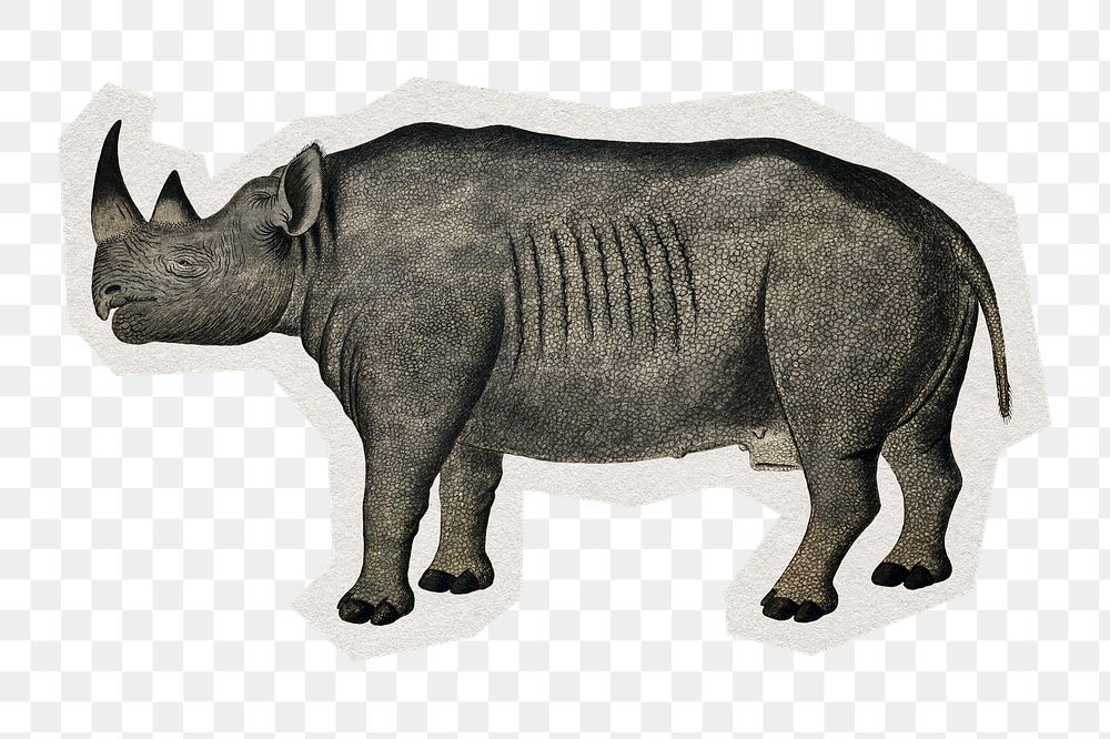 PNG black rhinoceros vintage sticker with white border,  transparent background 