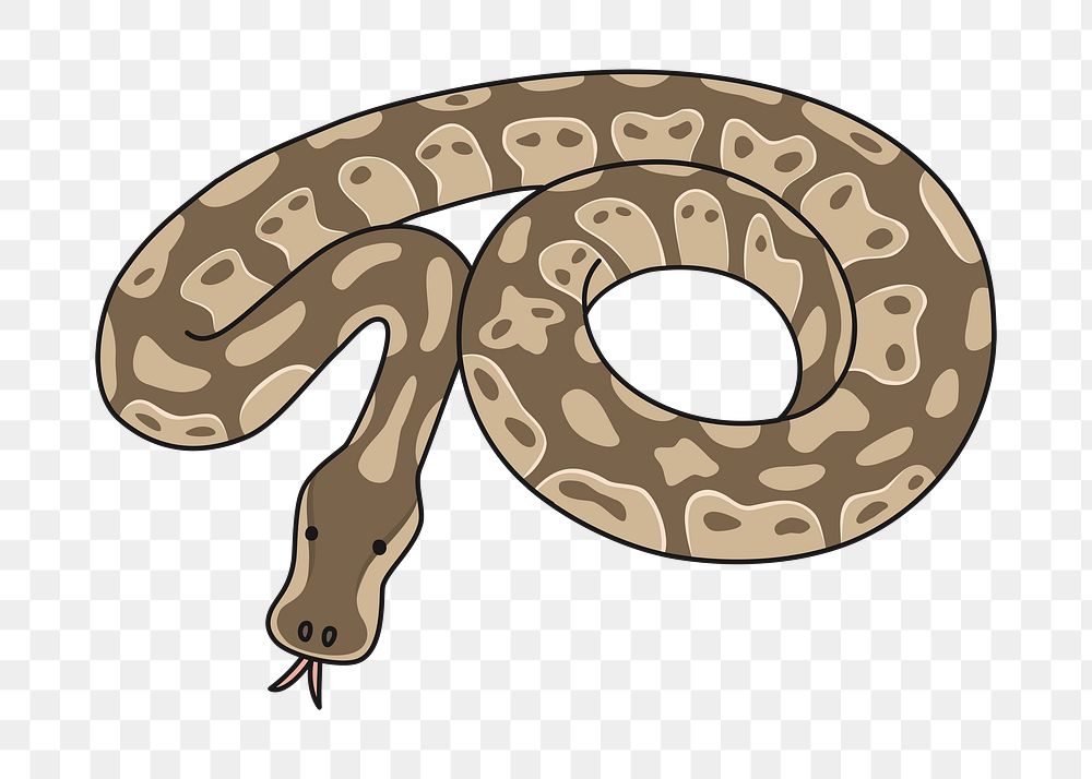 Snake animal png sticker, transparent background. Free public domain CC0 image.
