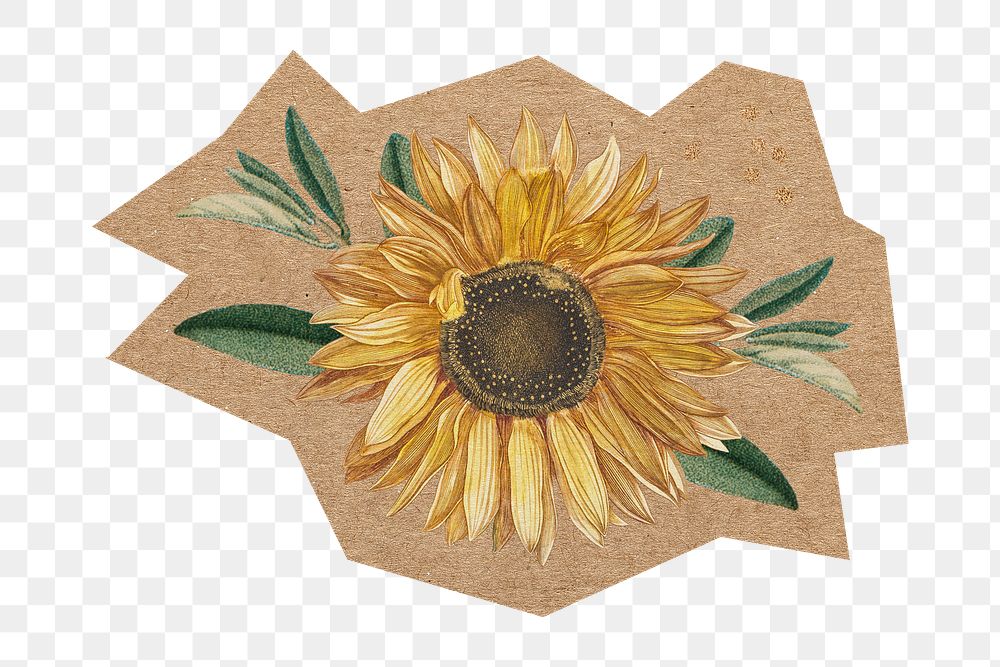 Blooming sunflower png, cut out paper element, transparent background