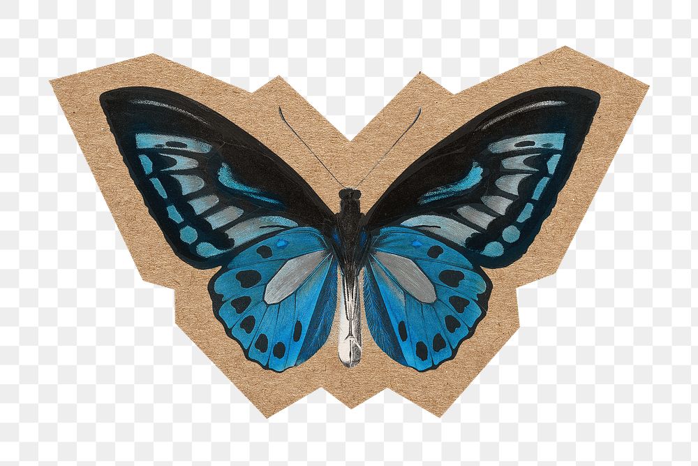 Blue butterfly png, cut out paper element, transparent background