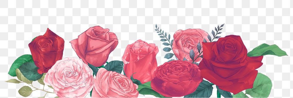 Png pink rose decorative element, transparent background