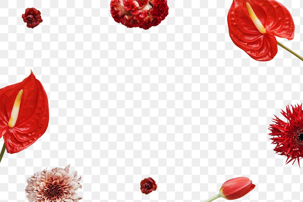 Flower frame png element, transparent background