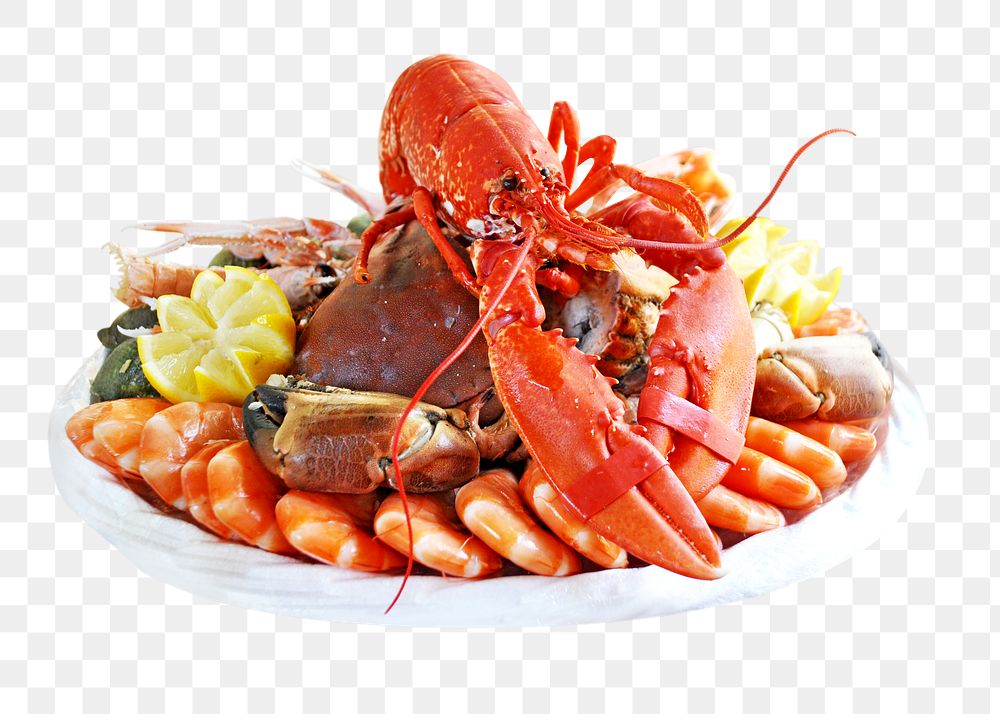 Fresh cooked seafood   png, transparent background