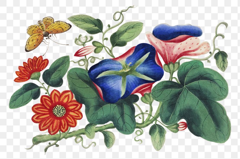 Flowers & butterfly png sticker, vintage botanical illustration, transparent background