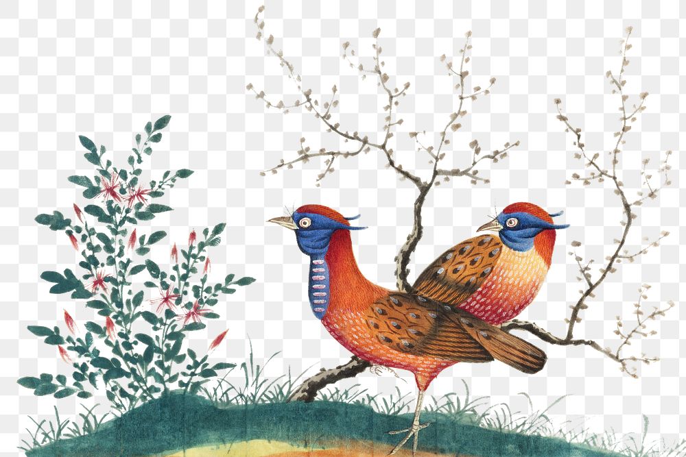 Birds png Chinese painting, transparent background