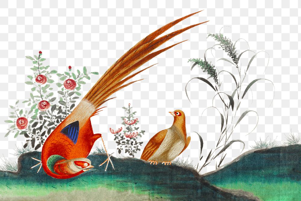 Colorful birds png Chinese painting, transparent background
