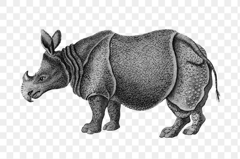 Single-horned Rhinoceros png sticker, vintage illustration, transparent background