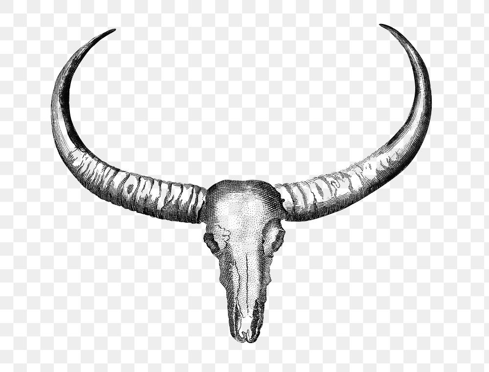 Buffalo skull png cowboy sticker, transparent background