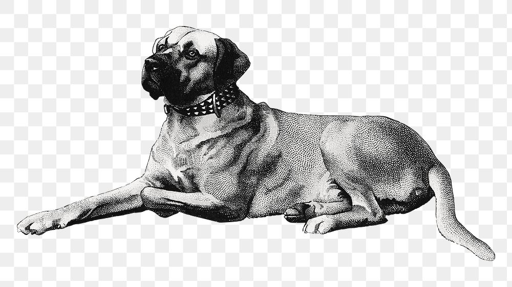 Vintage dog png, pet animal illustration, transparent background. Remixed by rawpixel.