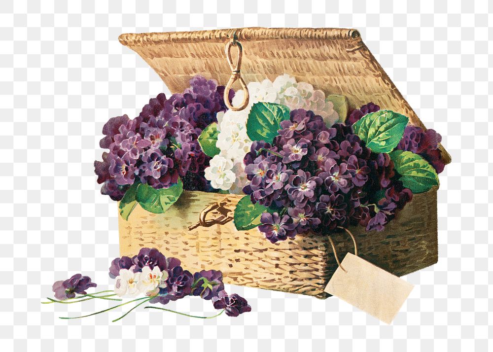 Invoice of violets png, vintage purple flower basket illustration by Paul de Longpr&eacute;, transparent background. Remixed…