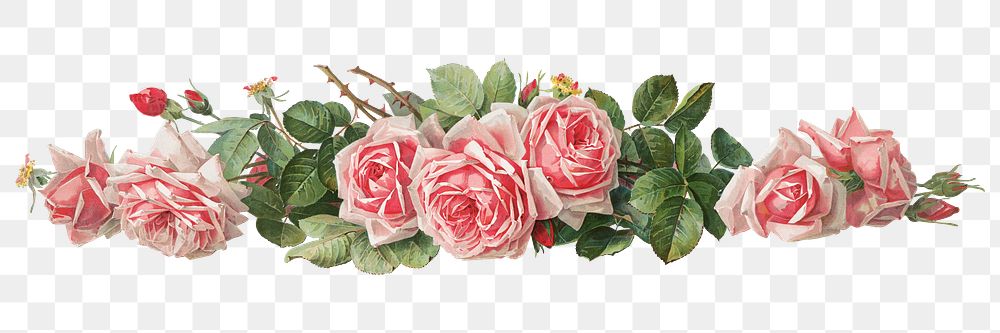 La France roses png, vintage flower illustration by Paul de Longpre, transparent background. Remixed by rawpixel.